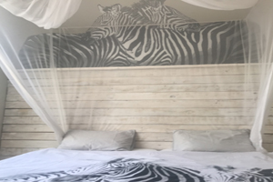 Windhoek Hostels Double Room