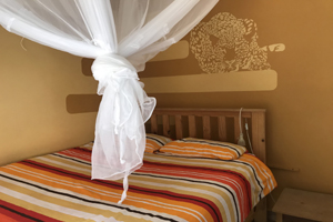 Windhoek Hostels Single Room